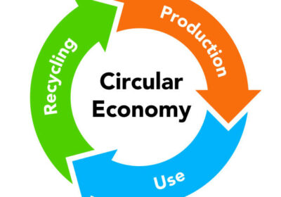 Eco’Ring, un rôle moteur dans l’économie circulaire